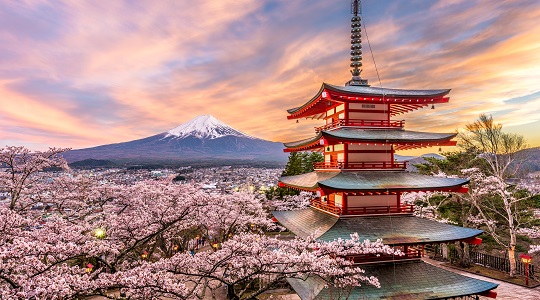 Discover Japan: Where Ancient Traditions Meet Modern Wonders