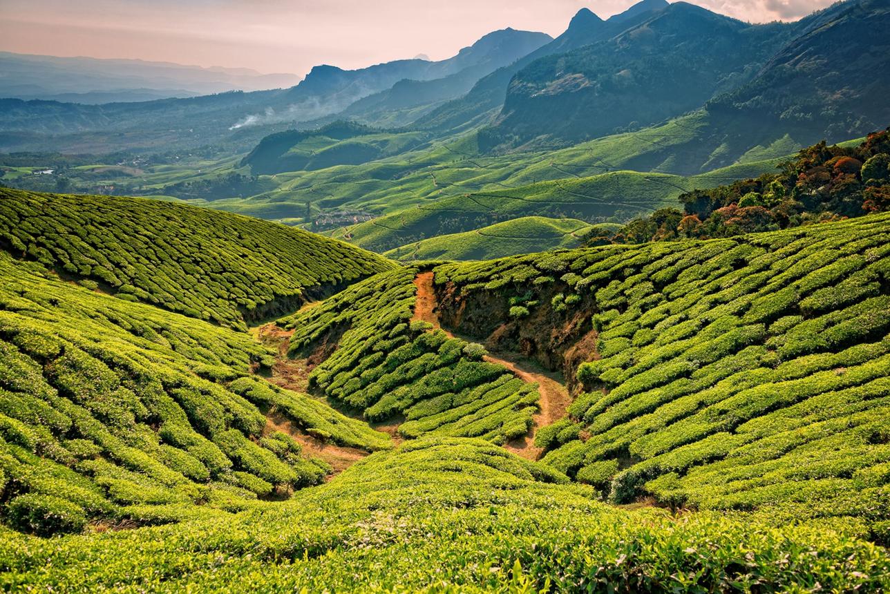 Kerala