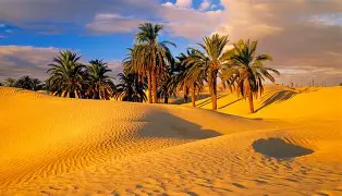 Travel gallery image 1