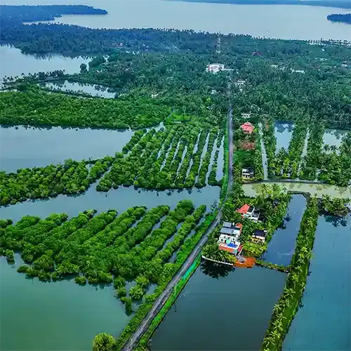 Kerala Munroe Island Budget Escape 