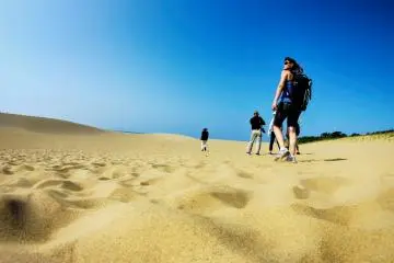Japan Desert Escape: Tottori Sand Dunes, Kyoto & Osaka